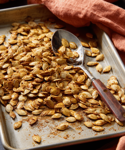 Pioneer Woman Cinnamon Sugar Pumpkin Seeds Recipe