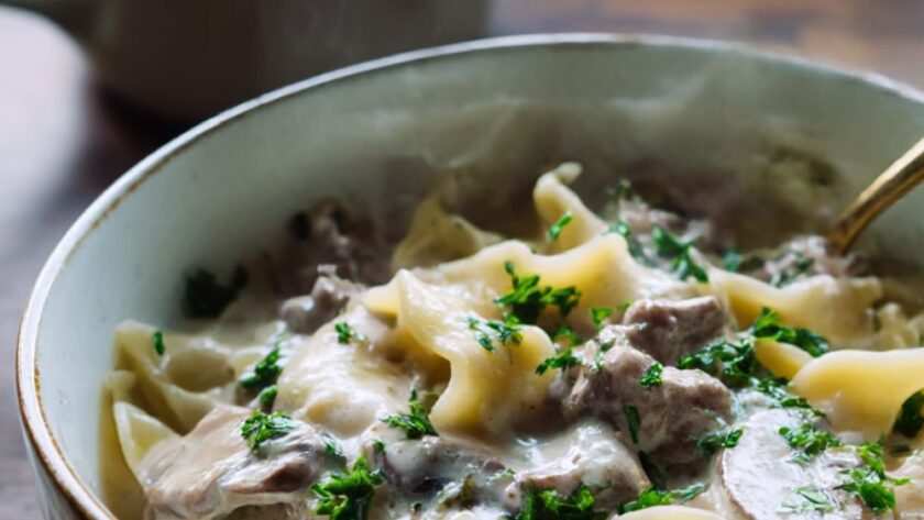 Beef Stroganoff Soup Recipe