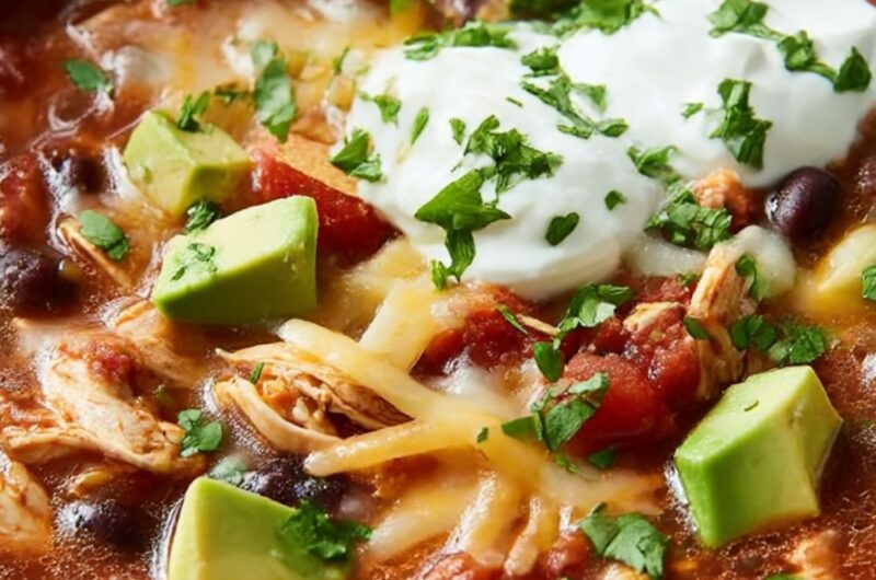 Pioneer Woman Slow Cooker Chicken Tortilla Soup Recipe
